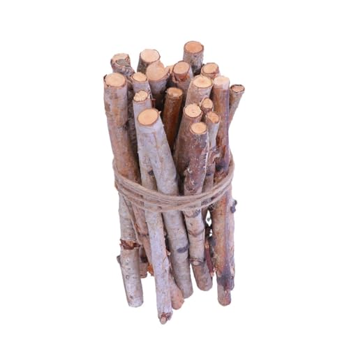 HAWILLOSCH 22 Stück Birkenstäbe in Rinde Trockene Zweige Stöcke Für Vase Trockene Äste Zweigstangen Handgefertigtes Material Zweige Verzieren Foto Requisiten Selber Machen Holz HAWILLOSCH 22 Stück Birkenstäbe in Rinde Trockene Zweige Stöcke Für Vase Trockene Äste Zweigstangen Handgefertigtes Material Zweige Verzieren Foto Requisiten Selber Machen Holz von HAWILLOSCH