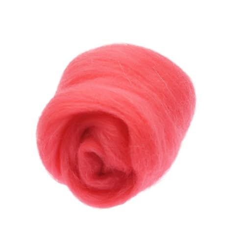 Wolle Filzen, Wollfaser for Nadelfilzen, Nassfilzen, DIY-Basteln, mehrfarbig, 10 g, 20 g, 50 g, 100 g(28,100g) von HBALDTEDC