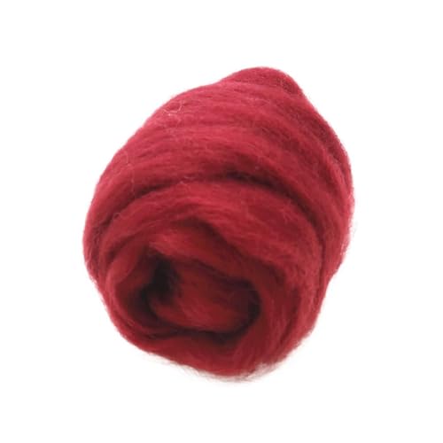 Wolle Filzen, Wollfaser for Nadelfilzen, Nassfilzen, DIY-Basteln, mehrfarbig, 10 g, 20 g, 50 g, 100 g(86,20g) von HBALDTEDC