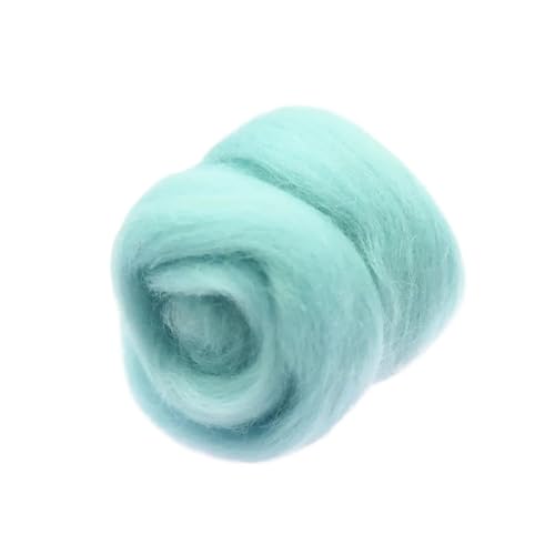 Wolle Filzen, Wollfaser for Nadelfilzen, mehrfarbig, 10 g bis 100 g, for Bastelarbeiten(40,100g) von HBALDTEDC