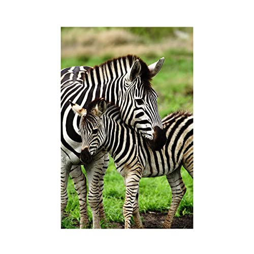 HCHES 5D Diamond Painting Tiere Zebra Diamant Painting Bilder Geschenkfür Erwachsene/Kinder Stickerei Kreuzstich Leinwand Runde Malen nach Zahlen Kunst Diamant Malerei Tiere Set 30x40cm HCHES 5D Diamond Painting Tiere Zebra Diamant Painting Bilder Geschenkfür Erwachsene/Kinder Stickerei Kreuzstich Leinwand Runde Malen nach Zahlen Kunst Diamant Malerei Tiere Set 30x40cm von HCHES
