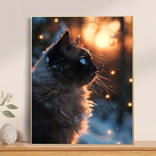 Malen Nach Zahlen Erwachsene Tier Malen Nach Zahlen Katze Paint by Numbers DIY Ölgemälde Set mit 3 Pinseln und Acrylfarbe Basteln Erwachsene für Zimmer Wanddeko, Geschenke 40 x 60 cm -hcj25042Z von HCJUTFOU
