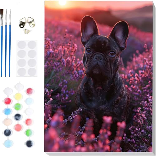 Malen Nach Zahlen Hund Paint by Numbers, Malen Nach Zahlen Erwachsene Lavendel Painting by Numbers DIY Set Erwachsene mit 3 Pinseln und Acrylfarbe für Deko Wohnzimmer, Geschenke 30 x 40cm -hcj25048K Malen Nach Zahlen Hund Paint by Numbers, Malen Nach Zahlen Erwachsene Lavendel Painting by Numbers DIY Set Erwachsene mit 3 Pinseln und Acrylfarbe für Deko Wohnzimmer, Geschenke 30 x 40cm -hcj25048K von HCJUTFOU