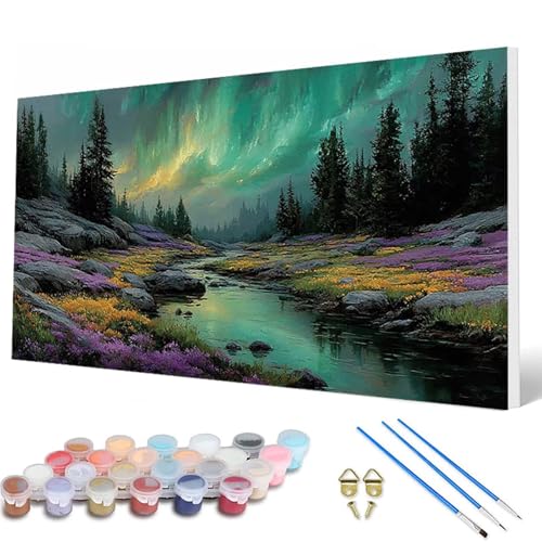 Aurora Malen Nach Zahlen Erwachsene, Malen Nach Zahlen Wald Paint by Numbers Adult Muster Basteln Erwachsene Anfänger für Zimmer Deko Wohnzimmer, Wanddeko, Geschenke für Frauen 50X100CM -hcw25077T von HCWBDWOU