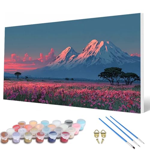 Landschaft Malen Nach Zahlen Erwachsene, Malen Nach Zahlen Schneeberg Paint by Numbers Adult Muster Basteln Erwachsene Anfänger für Deko Wohnzimmer, Wanddeko, Geschenke für Frauen 70X140 CM -hcw250792 Landschaft Malen Nach Zahlen Erwachsene, Malen Nach Zahlen Schneeberg Paint by Numbers Adult Muster Basteln Erwachsene Anfänger für Deko Wohnzimmer, Wanddeko, Geschenke für Frauen 70X140 CM -hcw250792 von HCWBDWOU