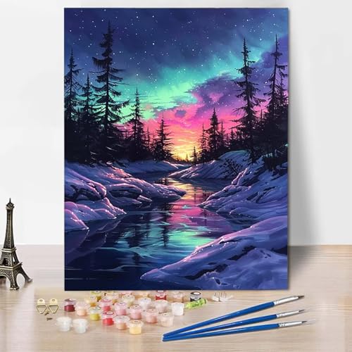 Malen Nach Zahlen Aurora Malen Nach Zahlen Erwachsene Landschaft Painting by Numbers Adult Basteln Erwachsene, Mit 3 Pinseln und Acrylfarbe für Deko Wohnzimmer, Geschenke (50 x 65 cm) -CW2504Y4 von HCWBDWOU