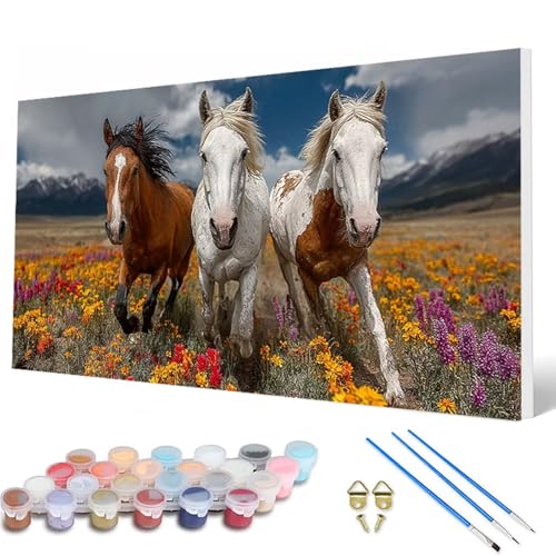 Malen Nach Zahlen Erwachsene, Tiere Malen Nach Zahlen Pferd Paint by Numbers DIY Bastelset Erwachsene Mit 3 Pinseln und Acrylfarben für Zimmer Deko Wohnzimmer, Geschenke für Frauen 40X80CM -hcw25078D von HCWBDWOU