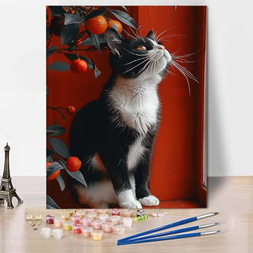 Malen Nach Zahlen Katze Malen Nach Zahlen Erwachsene Obst Painting by Numbers Adult Basteln Erwachsene, Mit 3 Pinseln und Acrylfarbe für Deko Wohnzimmer, Geschenke für Frauen 60 x 80 cm -CW2504K5 Malen Nach Zahlen Katze Malen Nach Zahlen Erwachsene Obst Painting by Numbers Adult Basteln Erwachsene, Mit 3 Pinseln und Acrylfarbe für Deko Wohnzimmer, Geschenke für Frauen 60 x 80 cm -CW2504K5 von HCWBDWOU