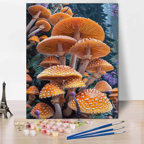 Malen Nach Zahlen Pilz Malen Nach Zahlen Erwachsene Landschaft Painting by Numbers Adult Basteln Erwachsene, Mit 3 Pinseln und Acrylfarbe für Deko Wohnzimmer, Geschenke (70 x 95 cm) -CW25040T14Z von HCWBDWOU