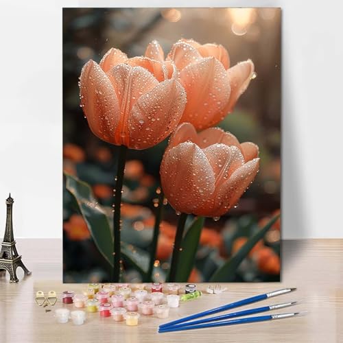 Paint by Numbers Blume Malen Nach Zahlen Tulpe Malen Nach Zahlen Anfänger DIY Handgemalt Ölgemälde Leinwand Kits mit 3 Pinseln und Acrylfarbe für Wanddeko, Geschenk für Frauen (70x95cm) -CW25044D von HCWBDWOU
