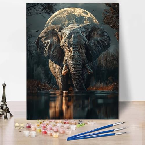 Paint by Numbers Elefant Malen Nach Zahlen Wald Malen Nach Zahlen Anfänger DIY Handgemalt Ölgemälde Leinwand Kits mit 3 Pinseln und Acrylfarbe für Wanddeko, Geschenk für Frauen (20x30cm) -CW2504L5 von HCWBDWOU