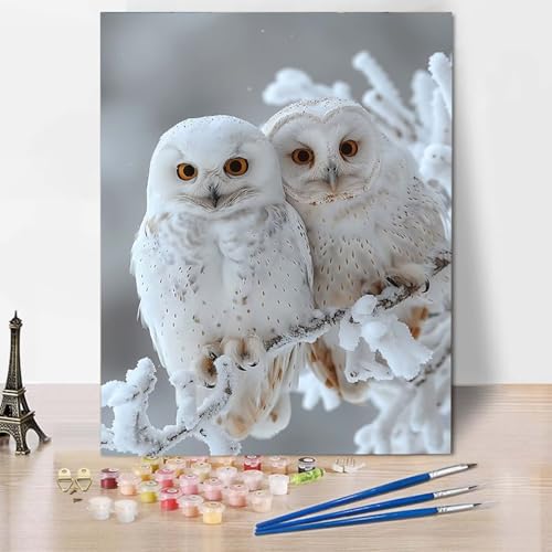 Paint by Numbers Eule Malen Nach Zahlen Schnee Malen Nach Zahlen Anfänger DIY Handgemalt Ölgemälde Leinwand Kits mit 3 Pinseln und Acrylfarbe für Wanddeko, Geschenk für Frauen 100 X 135 CM -CW250421 Paint by Numbers Eule Malen Nach Zahlen Schnee Malen Nach Zahlen Anfänger DIY Handgemalt Ölgemälde Leinwand Kits mit 3 Pinseln und Acrylfarbe für Wanddeko, Geschenk für Frauen 100 X 135 CM -CW250421 von HCWBDWOU