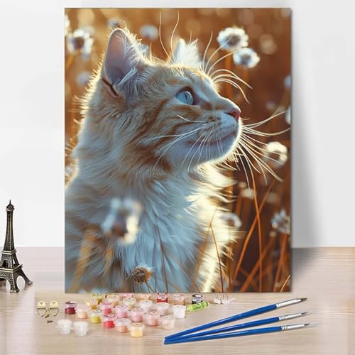 Paint by Numbers Katze Malen Nach Zahlen Tier Malen Nach Zahlen Anfänger DIY Handgemalt Ölgemälde Leinwand Kits mit 3 Pinseln und Acrylfarbe für Wanddeko, Geschenk für Frauen 20 x 30 cm -CW2504T7 Paint by Numbers Katze Malen Nach Zahlen Tier Malen Nach Zahlen Anfänger DIY Handgemalt Ölgemälde Leinwand Kits mit 3 Pinseln und Acrylfarbe für Wanddeko, Geschenk für Frauen 20 x 30 cm -CW2504T7 von HCWBDWOU