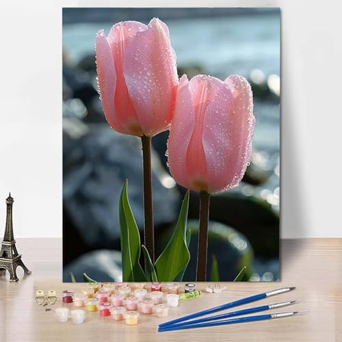 Paint by Numbers Tulpe Malen Nach Zahlen Blume Malen Nach Zahlen Anfänger DIY Handgemalt Ölgemälde Leinwand Kits mit 3 Pinseln und Acrylfarbe für Wanddeko, Geschenk für Frauen 70 x 95 cm -CW25046T Paint by Numbers Tulpe Malen Nach Zahlen Blume Malen Nach Zahlen Anfänger DIY Handgemalt Ölgemälde Leinwand Kits mit 3 Pinseln und Acrylfarbe für Wanddeko, Geschenk für Frauen 70 x 95 cm -CW25046T von HCWBDWOU