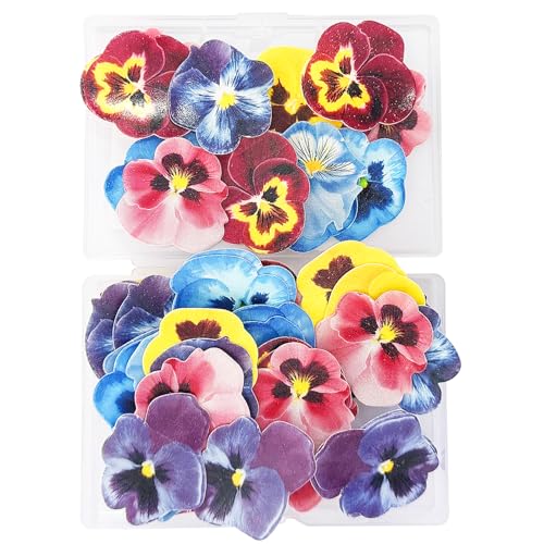 HDGSAFD 60 Kuchenpapierblumen, Verzierte Stiefmütterchenblumen, Florale Kuchendekoration, Mini-3D-Papierblumen, Dessertpapierblumendekoration, Geeignet Für Feier, Partygebäckdekoration HDGSAFD 60 Kuchenpapierblumen, Verzierte Stiefmütterchenblumen, Florale Kuchendekoration, Mini-3D-Papierblumen, Dessertpapierblumendekoration, Geeignet Für Feier, Partygebäckdekoration von HDGSAFD