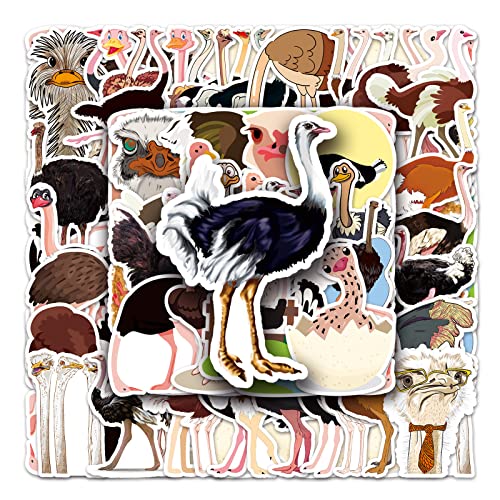 50 Teile/los Strauß Tier Aufkleber Vinyl Wasserdichte Graffiti Aufkleber für Laptop, Gepäck, Skateboard, Jugendliche 50 Teile/los Strauß Tier Aufkleber Vinyl Wasserdichte Graffiti Aufkleber für Laptop, Gepäck, Skateboard, Jugendliche von HDIJDY