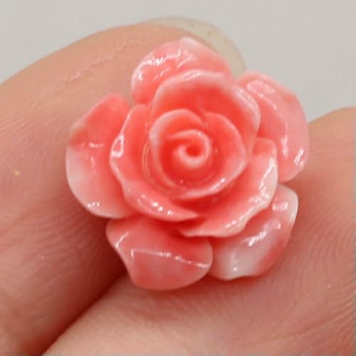 10 Stück natürliche Korallenrosa Elefant Buddha Kopf Knospenperlen für Schmuckherstellung DIY Halskette Zubehör Charm-11mm_a 10 Stück natürliche Korallenrosa Elefant Buddha Kopf Knospenperlen für Schmuckherstellung DIY Halskette Zubehör Charm-11mm_a von HDJSDB