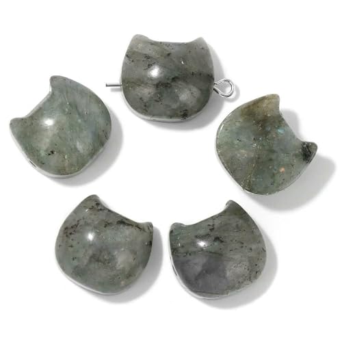 14 x 16 mm Naturstein, Katzenform, geschnitzte Perlen, mehrfarbige Edelsteinquarzperlen zur Schmuckherstellung, DIY-Armband, Halskettenzubehör, Labradorit, 5 Stück von HDJSDB