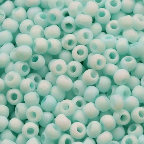 2 mm Macaron-Glasperlen, mattiert, zur Schmuckherstellung, DIY-Charm, lose Abstandshalter, undurchsichtige Rocailles-Perlen, Ohrring-Halsketten-Zubehör, GSB-F-11, 10 g, 1300 Stück 2 mm Macaron-Glasperlen, mattiert, zur Schmuckherstellung, DIY-Charm, lose Abstandshalter, undurchsichtige Rocailles-Perlen, Ohrring-Halsketten-Zubehör, GSB-F-11, 10 g, 1300 Stück von HDJSDB