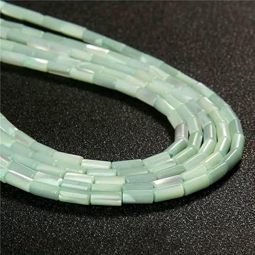 Natürliche Muschelröhrenperlen, bunt gefärbt, Perlmutt, lose Zylinderperlen zur Schmuckherstellung, Armband, DIY-Halskette, 15 Zoll - 2 Röhren, 4 x 8 mm Natürliche Muschelröhrenperlen, bunt gefärbt, Perlmutt, lose Zylinderperlen zur Schmuckherstellung, Armband, DIY-Halskette, 15 Zoll - 2 Röhren, 4 x 8 mm von HDJSDB