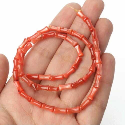 Natürliche Süßwasser-Muschelperlen, Perlmutt, Gelenkform, lose Perlen für die Herstellung von DIY-Schmuck und Armbändern, 4 x 7 mm, rot, 4 x 7 mm, ca. 55 Stück Natürliche Süßwasser-Muschelperlen, Perlmutt, Gelenkform, lose Perlen für die Herstellung von DIY-Schmuck und Armbändern, 4 x 7 mm, rot, 4 x 7 mm, ca. 55 Stück von HDJSDB