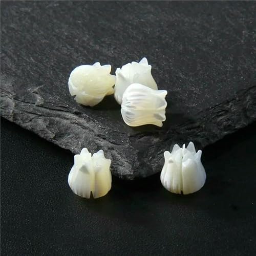 Natürlicher Katzenmuschel-Perlenanhänger, lose Muschel-Anhänger, Abstandsperlen zur Schmuckherstellung, DIY-Armbandzubehör – Lilie, 8 mm, 1 Stück Natürlicher Katzenmuschel-Perlenanhänger, lose Muschel-Anhänger, Abstandsperlen zur Schmuckherstellung, DIY-Armbandzubehör – Lilie, 8 mm, 1 Stück von HDJSDB