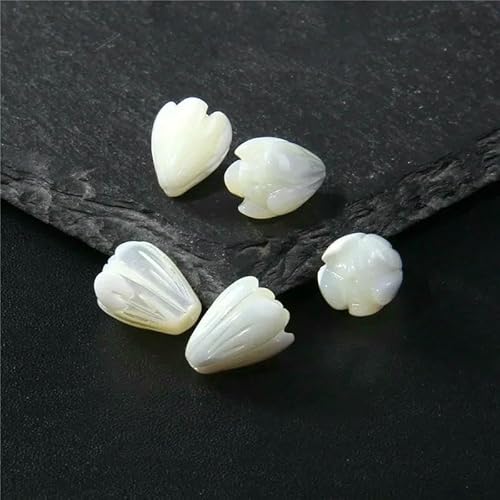 Natürlicher Katzenmuschel Perlmutt Perlen Anhänger Lose Muschel Charm Spacer Perlen zur Schmuckherstellung DIY Armband Zubehör - 10-13,0mm-5STK Natürlicher Katzenmuschel Perlmutt Perlen Anhänger Lose Muschel Charm Spacer Perlen zur Schmuckherstellung DIY Armband Zubehör - 10-13,0mm-5STK von HDJSDB