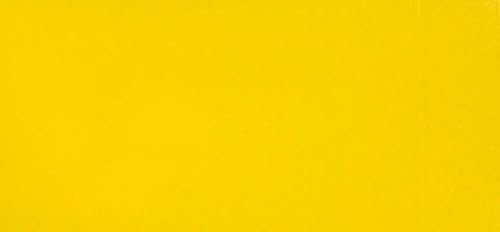 HDK-VERSAND 1 Stück Wachsplatten Uni Grösse 200 x 100 x 0,5 mm (17 Raps) von HDK-VERSAND