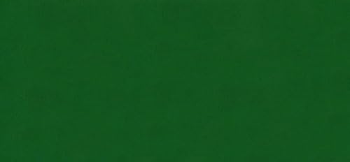 HDK-VERSAND 1 Stück Wachsplatten Uni Grösse 200 x 100 x 0,5 mm (66 Hellgrün) von HDK-VERSAND