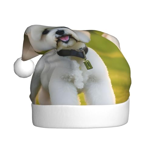 Bichon Frisé-Hund auf dem Gras, Weihnachtsmütze, Weihnachtsmannmütze, Kostüm, Zubehör für Weihnachten, Neujahr, Urlaub, Party, Kopfbedeckung Bichon Frisé-Hund auf dem Gras, Weihnachtsmütze, Weihnachtsmannmütze, Kostüm, Zubehör für Weihnachten, Neujahr, Urlaub, Party, Kopfbedeckung von HDSKFNS