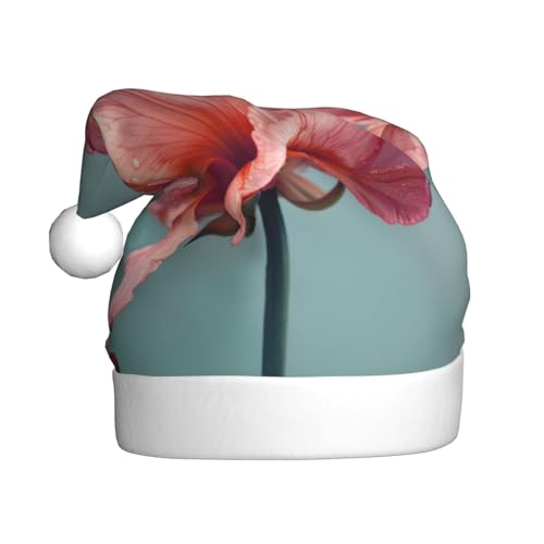 Blumen-Weihnachtsmütze, Weihnachtsmannmütze, Kostüm, Zubehör für Weihnachten, Neujahr, Urlaub, Party, Kopfbedeckung Blumen-Weihnachtsmütze, Weihnachtsmannmütze, Kostüm, Zubehör für Weihnachten, Neujahr, Urlaub, Party, Kopfbedeckung von HDSKFNS