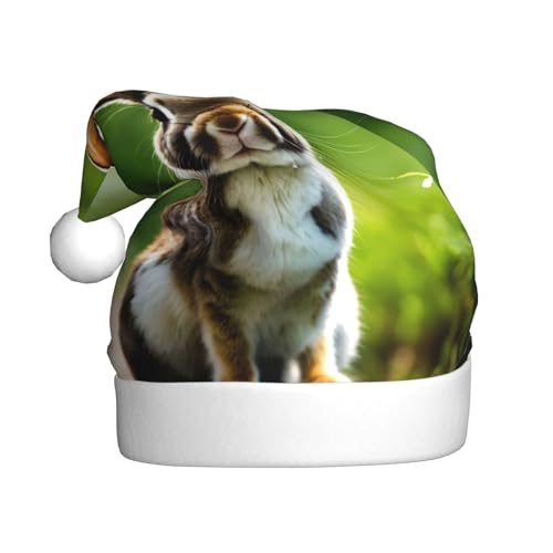 Weihnachtsmütze, Weihnachtsmannmütze, Kostüm, Zubehör für Weihnachten, Neujahr, Urlaub, Party, Kopfbedeckung Weihnachtsmütze, Weihnachtsmannmütze, Kostüm, Zubehör für Weihnachten, Neujahr, Urlaub, Party, Kopfbedeckung von HDSKFNS