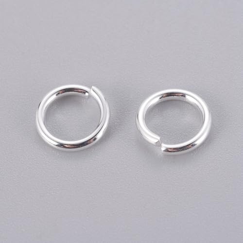 HDSupplies 100 Stück – 304 silberfarbene Edelstahl-Binderinge – 8 mm – 17 Gauge (1,2 mm Dicke) von HDSupplies