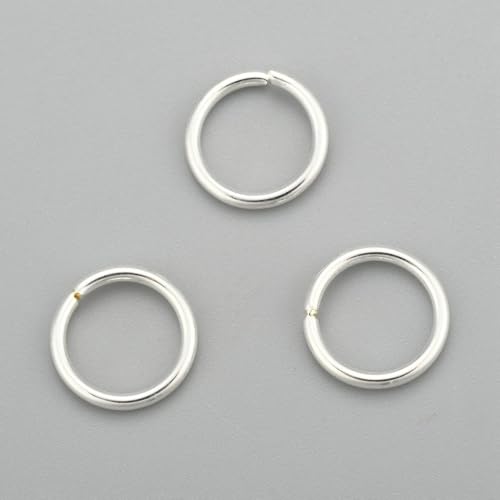 HDSupplies Edelstahl-Binderinge, 100 Stück (silberfarbener Edelstahl, 10 mm/1,2 mm dick/17 Gauge) von HDSupplies