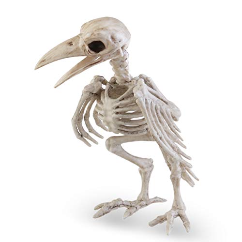 HEALLILY Halloween Tier Horror Requisiten Skelett Schädel Scary Crow Requisiten Dekoration Ornament Tabelle Figur Vogel Knochen Figur Statue Geschenke von HEALLILY