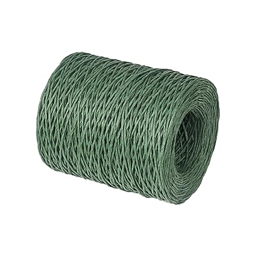 HEALSOPTHY 1 Rolle Papierseildraht Drahtstiele Drahtwickeldraht Blumendraht Herstellung Strauß geschenkband Partydekoration Handwerk Blumengeschenkseil Band Seil Green HEALSOPTHY 1 Rolle Papierseildraht Drahtstiele Drahtwickeldraht Blumendraht Herstellung Strauß geschenkband Partydekoration Handwerk Blumengeschenkseil Band Seil Green von HEALSOPTHY