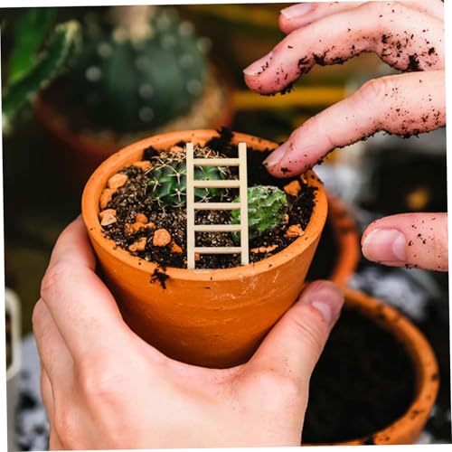 HEALSOPTHY 10 Stück Teiliges Holz treppenornamente DIY Langlebige Miniatur dekoration für Haus Bonsai und Mikro landschaften Natürliche Holzqualität Vielseitig für Heim Ladenverschönerung von HEALSOPTHY