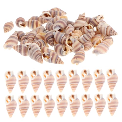 HEALSOPTHY 100 Stück Anhänger Naturmaterialien mit Löchern für DIY Schmuckherstellung Armbänder Ohrringe und Dekoration für Verschiedene Anlässe von HEALSOPTHY