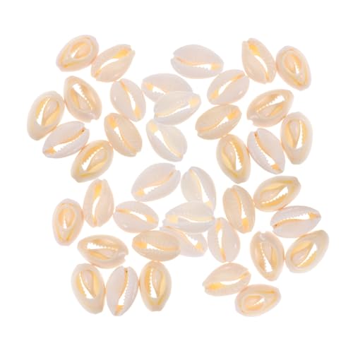 HEALSOPTHY 100 Stück Hängende Muscheln Conch Und Muschel Sommer Kleine Löcher DIY Haarprojekte Anhänger Party Mit Muscheln Halsketten Zum Basteln Charm Spiralperlen Basteln Kauri von HEALSOPTHY