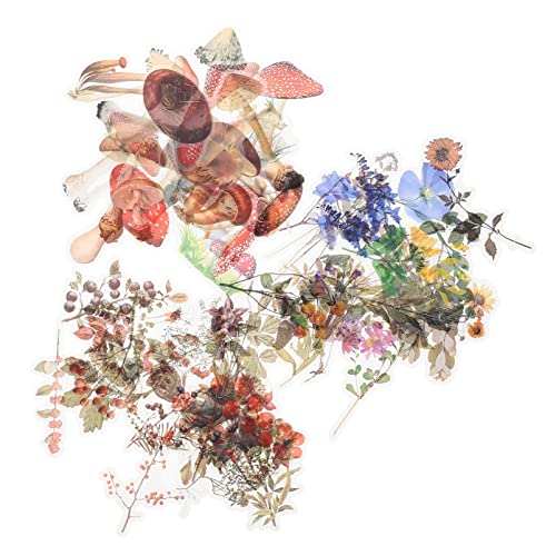 HEALSOPTHY 120 Stück Pflanzenaufkleber Selbstklebende Pflanzen und Blumenaufkleber Transparent Scrapbooking Diy Handarbeiten Karten und Dekorationen HEALSOPTHY 120 Stück Pflanzenaufkleber Selbstklebende Pflanzen und Blumenaufkleber Transparent Scrapbooking Diy Handarbeiten Karten und Dekorationen von HEALSOPTHY