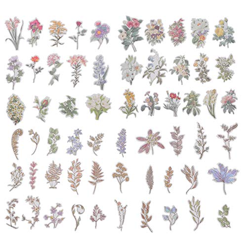 HEALSOPTHY 2 Sätze Pflanzen Sticker Selbstklebend Pack für Scrapbooking Diy Projekte Transparente Dekoration Langlebige und Farbenfrohe Aufkleber für Karten Alben und Mehr HEALSOPTHY 2 Sätze Pflanzen Sticker Selbstklebend Pack für Scrapbooking Diy Projekte Transparente Dekoration Langlebige und Farbenfrohe Aufkleber für Karten Alben und Mehr von HEALSOPTHY