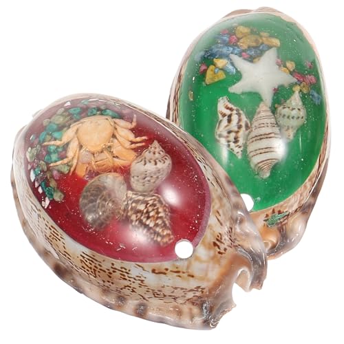 HEALSOPTHY 2 Stück Teiliges Conch Muschel Bastelset Natürliche Meeresdekoration DIY Schmuck Handwerk Hochzeit Strand Thema Wohnkultur Zufällige Farbe von HEALSOPTHY