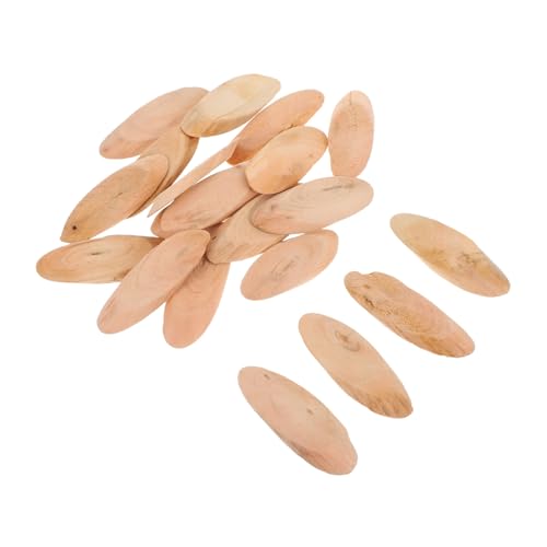 HEALSOPTHY 20 Stück Teiliges Rustikales Naturholz mit Holzscheiben für DIY Aquarium Dekoration Authentisches Poliert Langlebig für Kreative Holzkunst und Wohnaccessoires von HEALSOPTHY