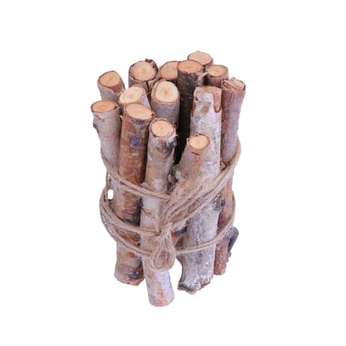 HEALSOPTHY 22 Stück Birkenstäbchen weichnachtsdekoration weihmachtsdeko weihnacjtsdeko bastelmaterial äste trockene Zweige Zweigstangen foto requisiten selber machen Zweige verzieren Holz von HEALSOPTHY