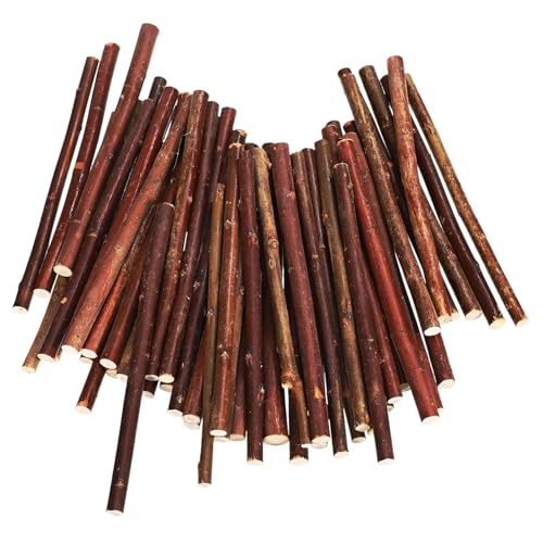 HEALSOPTHY 50 Stück Naturholzstäbchen für DIY Handwerk Robuste Bastelsticks Holz für Dekorationen Fotorequisiten und Kreative Projekte Zufällige von HEALSOPTHY
