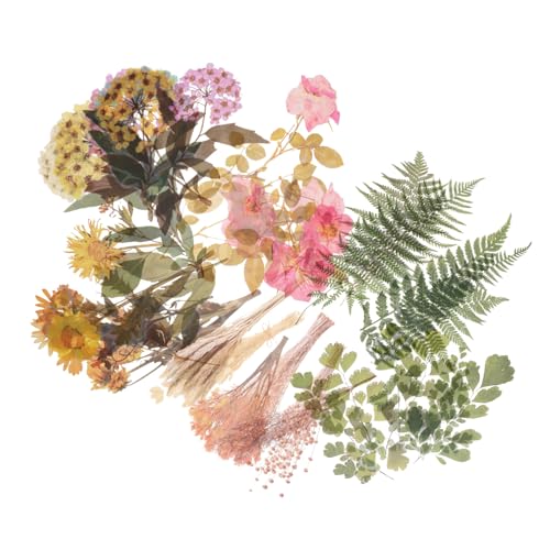 HEALSOPTHY 6 Sätze Selbstklebende Pflanzen Aufkleber Diy Scrapbooking Sticker für Hand Accounts Dekorative und Pflanzen Motive für Alben Karten und Bastelprojekte HEALSOPTHY 6 Sätze Selbstklebende Pflanzen Aufkleber Diy Scrapbooking Sticker für Hand Accounts Dekorative und Pflanzen Motive für Alben Karten und Bastelprojekte von HEALSOPTHY