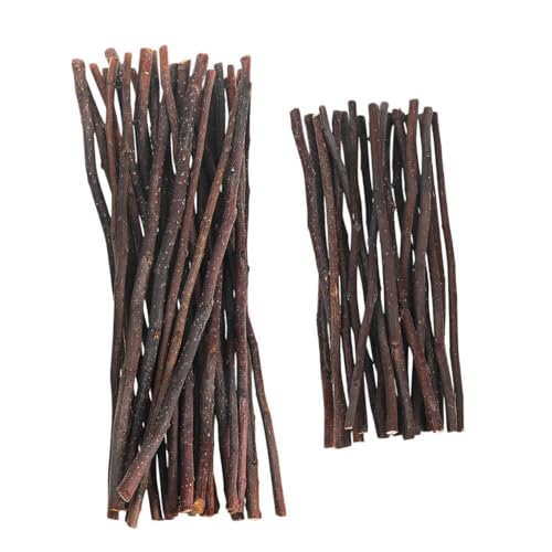 HEALSOPTHY 60 Stück Natürliche Holz Craft Sticks Handpoliert für DIY Projekte Fotorequisiten Rustikale Dekorationen Kartenherstellung Schulprojekte Kreative Bastelzweige von HEALSOPTHY