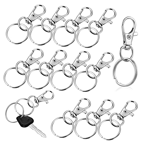 HEALSOPTHY 60Sätze Hakenclip Teilig Schlüsselanhänger Zubehör mit Ringen für Schlüsselketten Lanyards und Bastelprojekte Langlebigem Zinklegierungsmaterial Gefertigt von HEALSOPTHY