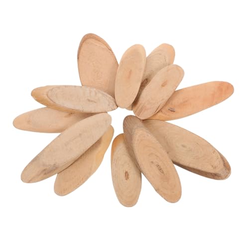 HEALSOPTHY DIY Holzstücke Natürlicher Vasenfüller Rustikale Bastelaccessoires für Tischdeko Hochzeit und Handwerksprojekte von HEALSOPTHY
