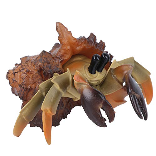 HEEPDD 5 X 3,1 Zoll Großes Simulationskrabbenmodell, Krabbenfiguren, für Hobbysammler für (PL127-1542 Einsiedlerkrebs) von HEEPDD